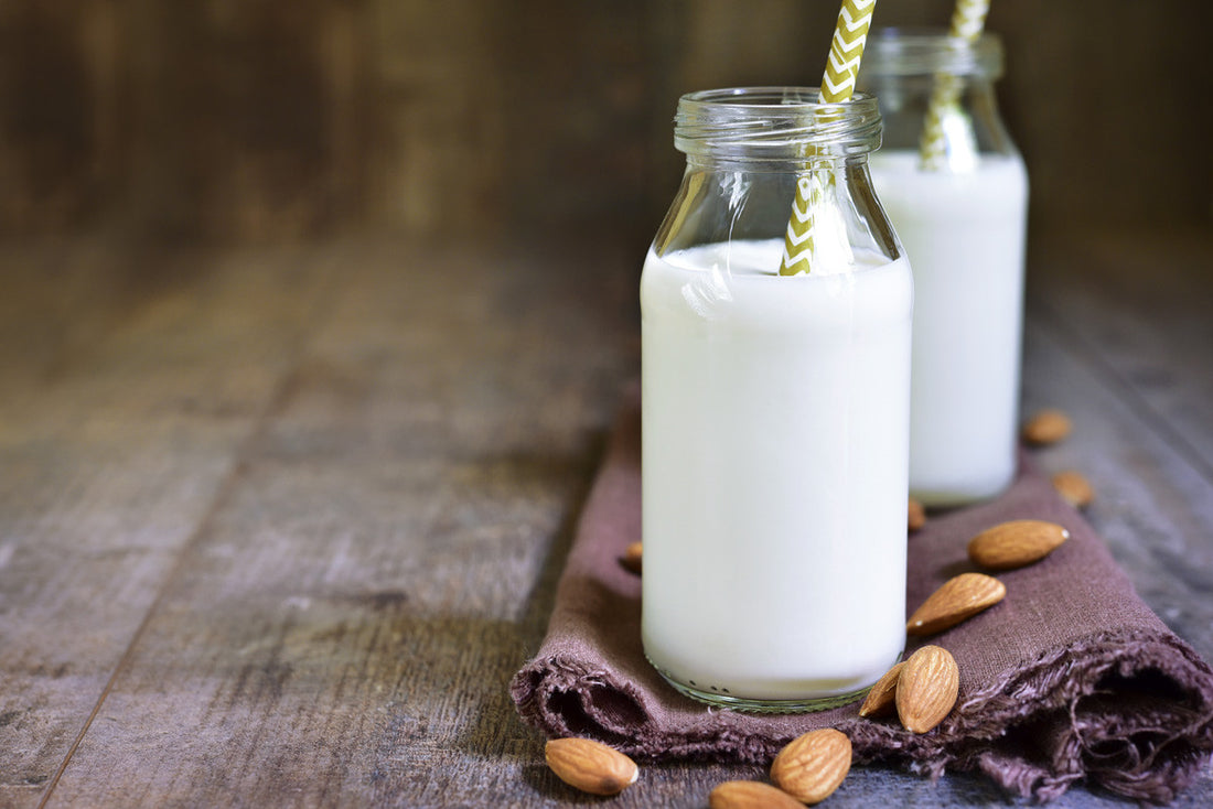 The Ultimate Guide To Non-Dairy Milk Alternatives