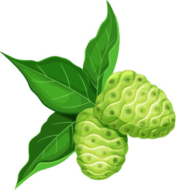 Getting to Know Noni- The Super Fruit You've Never Heard Of (But Should Really Meet)